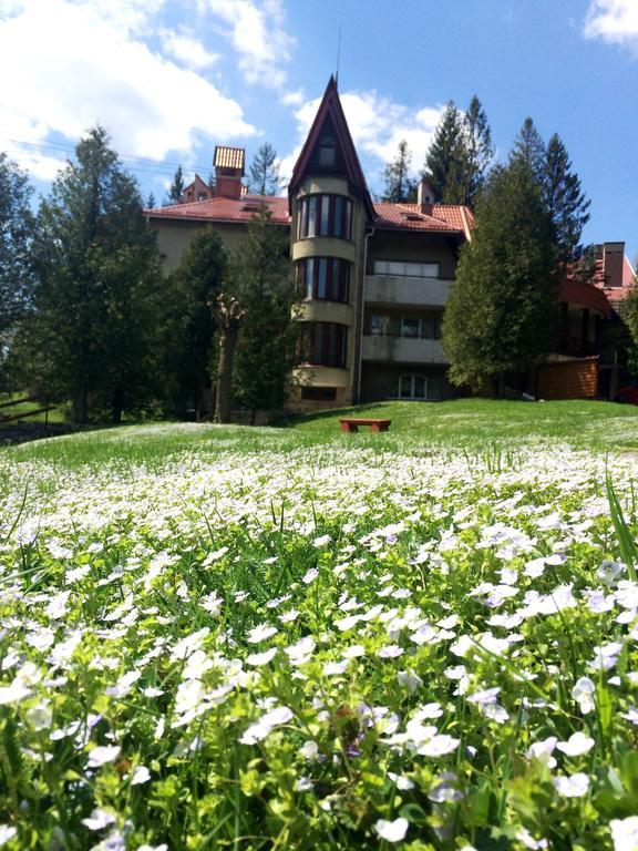 Hotel Perlyna Karpat Sławsko Zewnętrze zdjęcie